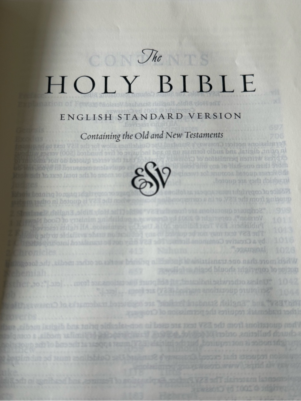 ESV Single Column Journaling Bible, Artist Series Joshua Noom the Lion - Picture 5 of 11